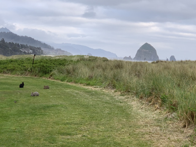 GIRLS TRIP TO CANNON BEACH, OREGON